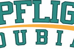 181.3% Increase in Overall Traffic from AI Overviews